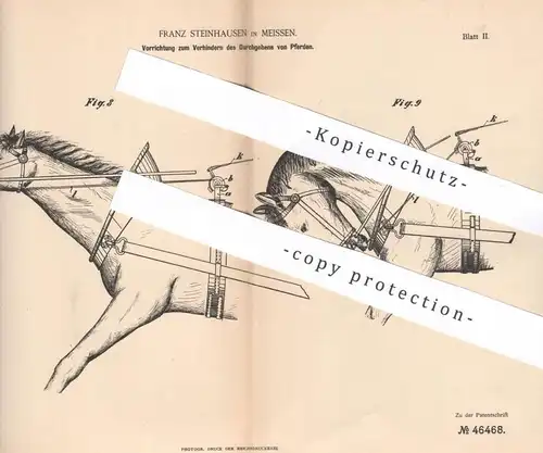 original Patent - Franz Steinhausen , Meissen , 1888 , Verhindern des Durchgehens der Pferde | Pferd , Pferdegeschirr !!