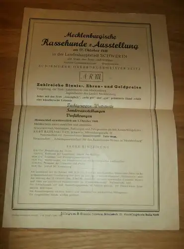 Rassehunde - Ausstellung 1948 in Schwerin i. Mecklenburg , Hunde , Hundesport , Windhunde !!!