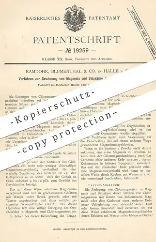 original Patent - Ramdohr , Blumenthal & Co. Halle / Saale 1881 , Gewinnung von Magnesia u. Salzsäure aus Chlormagnesium