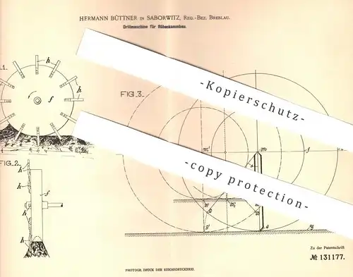 original Patent - Hermann Büttner , Saborwitz / Breslau , 1901 , Drillmaschine für Rübenkammbau | Drillen | Landwirt !