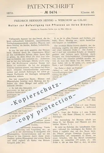 original Patent - Friedrich Hermann Henning , Werchow / Calau 1879 , Befestigung v. Pflanzen am Stamm | Garten , Gärtner