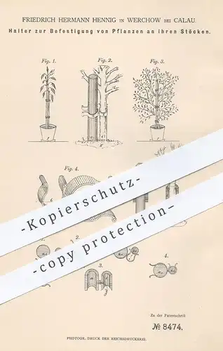 original Patent - Friedrich Hermann Henning , Werchow / Calau 1879 , Befestigung v. Pflanzen am Stamm | Garten , Gärtner