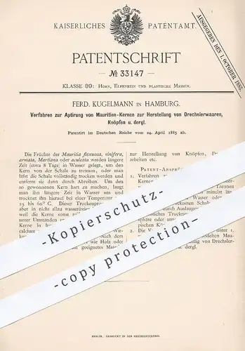 original Patent - Ferd. Kugelmann , Hamburg , 1885 , Aptierung von Mauritien - Kernen für Knöpfe o. Drechsler - Waren !!