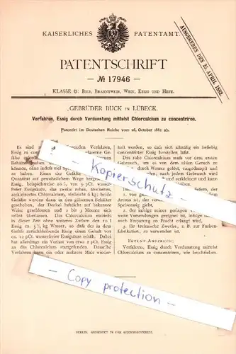 Original Patent  - Gebrüder Buck in Lübeck , 1881 , Bier, Branntwein, Wein, Essig und Hefe !!!