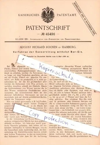 Original Patent  - August Richard Roosen in Hamburg , 1888 , Conservirung mittelst Bor-Eis !!!