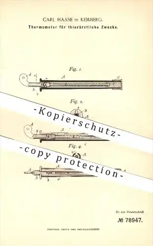 original Patent - Carl Haase in Kemberg , 1894 , Thermometer für tierärztliche Zwecke , Tier , Tiere , Tierarzt , Arzt