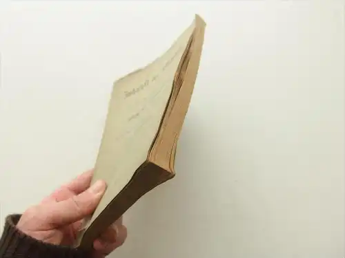 Zukunft der Blinden , 1888 , Friedrich Scherer , 205 Seiten , Sehr selten , Blindheit , Blindenschrift , Augenarzt !!!