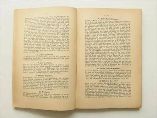 Zukunft der Blinden , 1888 , Friedrich Scherer , 205 Seiten , Sehr selten , Blindheit , Blindenschrift , Augenarzt !!!