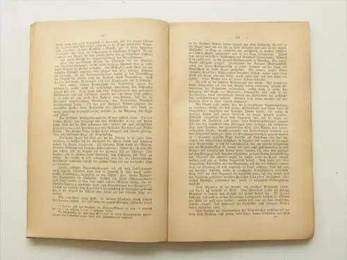 Zukunft der Blinden , 1888 , Friedrich Scherer , 205 Seiten , Sehr selten , Blindheit , Blindenschrift , Augenarzt !!!