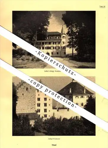 Photographien / Ansichten , 1937 , Staad / Thal SG , Risegg , Wartensee , Wartegg , Prospekt , Fotos , Architektur !!!