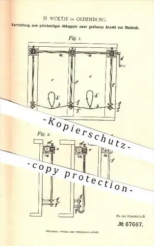 original Patent - H. Woltje in Oldenburg , 1892 , gleichzeitiges Abkuppeln von Stallvieh , Landwirtschaft , Tierzucht !!