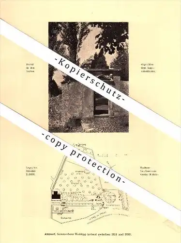 Photographien / Ansichten , 1910 , Altdorf , Prospekt , Architektur , Fotos !!!