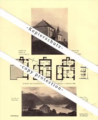 Photographien / Ansichten , 1910 , Seedorf und Seelisberg , Prospekt , Architektur , Fotos !!!