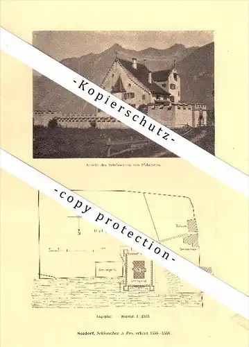 Photographien / Ansichten , 1910 , Seedorf und Seelisberg , Prospekt , Architektur , Fotos !!!