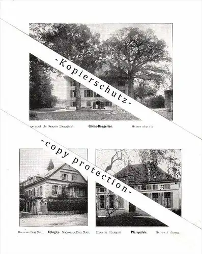 Photographien / Ansichten , 1912 , Cologny , Plainpalais , Chene-Bougeries , Cartigny , Prospekt , Architektur , Fotos !