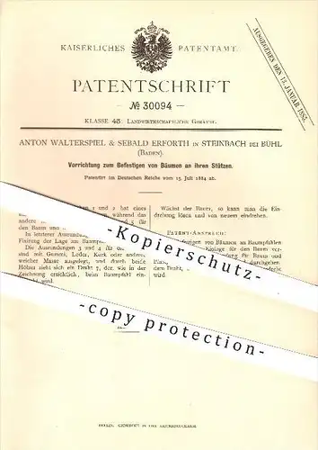 original Patent - A. Walterspiel & Sebald Erforth , Steinbach , Bühl ,1884, Befestigen von Bäumen , Baum , Bäume , Forst