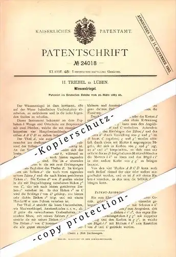 Original Patent - H. Triebel in Lüben / Lubin i. Schlesien , 1883 , Wiesenstriegel , Landwirtschaft !!!