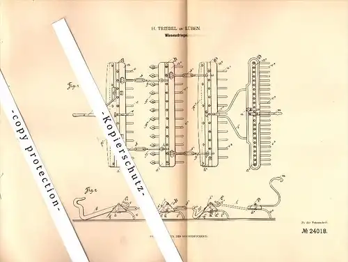 Original Patent - H. Triebel in Lüben / Lubin i. Schlesien , 1883 , Wiesenstriegel , Landwirtschaft !!!