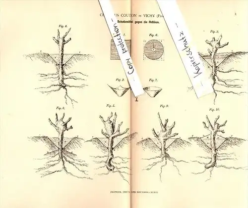 Original Patent - Claudius Couton à Vichy , 1880 , Préservatifs contre le phylloxéra , viticulture , Reblaus !!