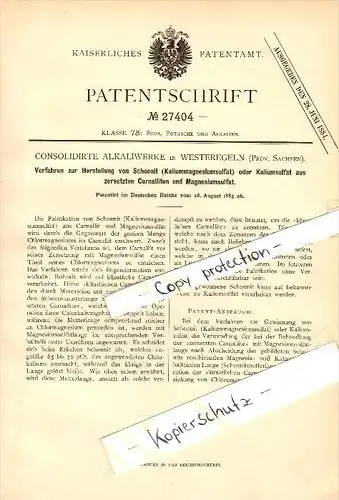Original Patent - Alkaliwerke in Westeregeln b. Börde-Hakel , 1883 , Herstellung von Kaliumsulfat , Chemie !!!