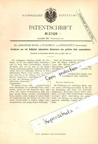 Original Patent - Dr. J. Bock in Puschkau / Pastuchów b. Königszelt / Jaworzyna Slaska , 1883 , Kalk-Ausscheidung !!!