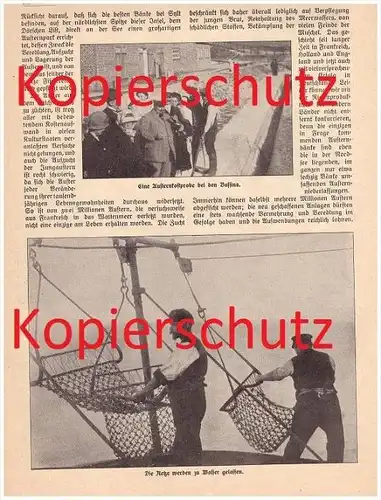 original Zeitungsbericht - 1911 -  Die Austern-Fischerei auf Sylt , Austern , Fischer , Muscheln , Krebse !!!