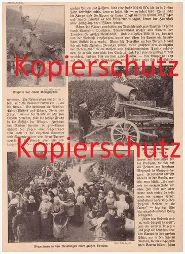 original Zeitungsbericht - 1911 - Weinlese am Rhein , Weinbau , Winzer , Weinberge !!!