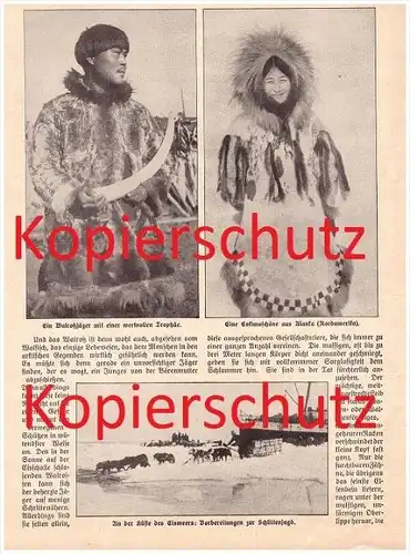 original Zeitungsbericht - 1911 - Walroßjagd , Seehund , Walross , Walfang , Seerobbe !!!