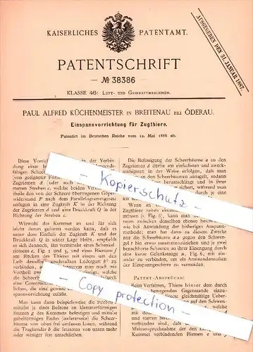 Original Patent  - P. A. Küchenmeister in Breitenau bei Öderau , 1886 , Einspannvorrichtung !!!