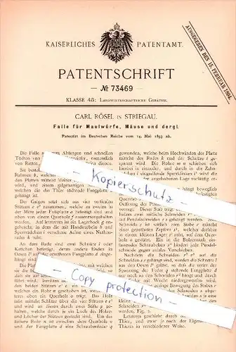 Original Patent  -  Carl Rösel in Striegau / Strzegom , 1893 , Falle für Maulwürfe, Mäuse , Maulwurf !!!
