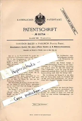 Original Patent - Theodor Bauer in Pakosch / Pako&#347;&#263; , 1890 , Rübenhaus - Vorrichtung , Rüben , Landwirtschaft