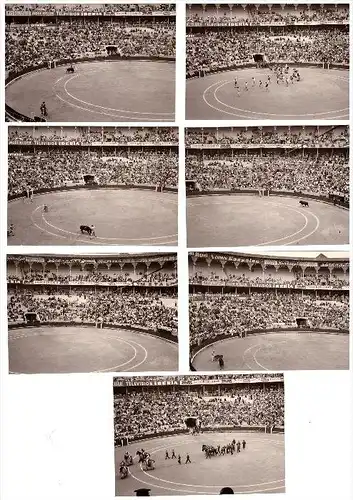 7 alte Fotos , Stierkampf , Stier , toreo, corrida de toros , Arena , Agfa Brovina , ca. 50er Jahre !!!
