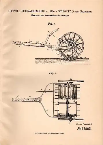 Original Patentschrift - L. Schnackenburg in Schwetz / &#346;wiecie nad Os&#261; , 1892 , Maschine für Quecken , Grauden