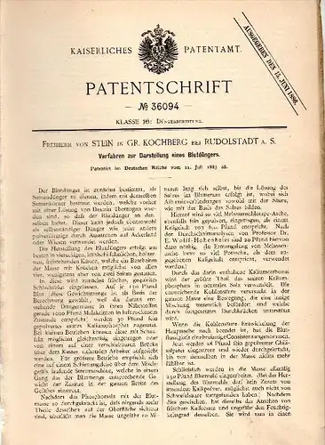 Original Patentschrift - Freiherr von Stein in Großkochberg bei Rudolstadt , 1885 , Blutdünger , Uhlstädt - Kirchhasel !
