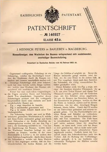 Original Patentschrift - J. Peters in Barleben b. Magdeburg , 1903 , Baumschutzring , Baumschule , Gärtnerei , Bäume !!!