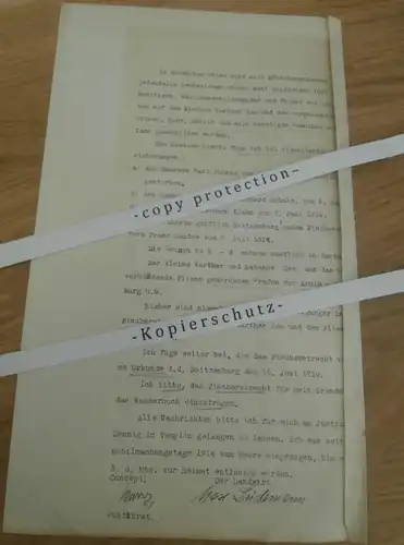 Max Lüdemann zu Warthe , 1918 , altes Dokument , Collin , Fink , Templin , Boitzenburg , Regierung , Uckermark !!!