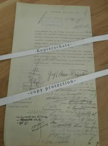 Graf Arnim-Boitzenburg , 1919 , altes Dokument , Regierung , Boitzenburg , Fischerei , Autograph , Uckermark !!!