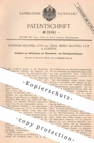 original Patent - Farnham & Cecil Henry Maxwell Lyte , London , England , 1891 , Chlorcalcium- und Chlormagnesiumlauge