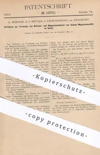 original Patent - G. Brosche & F. Brünjes , Leopoldshall / Stassfurt , 1879 , Natrium , Magnesium , Kalium | Chemie !!!