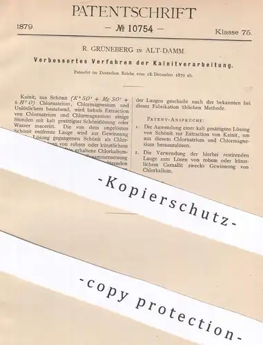 original Patent - R. Grüneberg , Alt-Damm / Stettin / Polen | 1879 | Kainit - Verarbeitung | Schönit , Chlor , Kalium