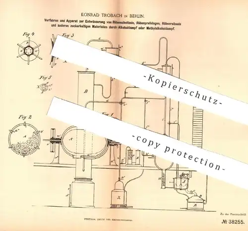 original Patent - Konrad Trobach , Berlin 1884 , Entwässerung von Rübenschnitzel | Rüben , Zucker , Zuckerfabrik  Stärke