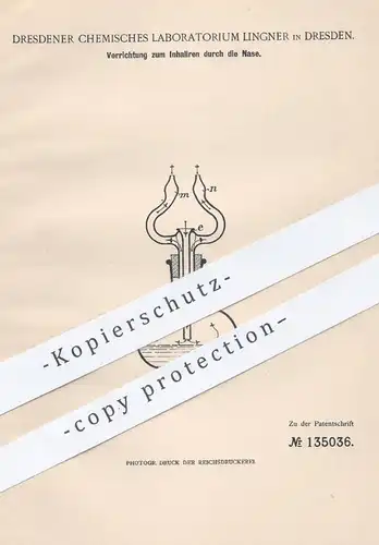 original Patent - Chem. Laboratorium Lingner , Dresden , 1901 , Inhalieren durch die Nase | Inhalator , Arzt , Medizin !
