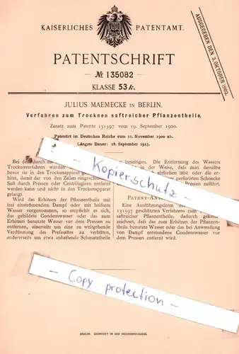 original Patent - Julius Maemecke in Berlin , 1900 , Verfahren zum Trocknen saftreicher Pflanzentheile !!!