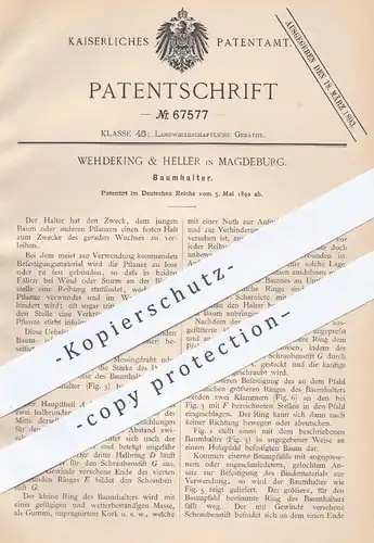 original Patent - Wehdeking & Heller , Magdeburg , 1892 , Baumhalter | Pflanzenhalter , Garten , Gärtner , Baumpflege !!