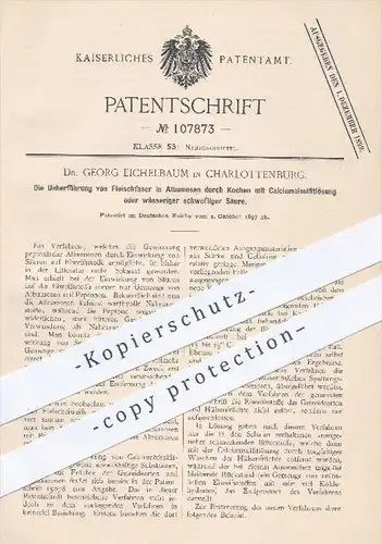 original Patent - Dr. G. Eichelbaum , Berlin Charlottenburg , 1897 , Überführung von Fleischfaser in Albumosen / Säure !