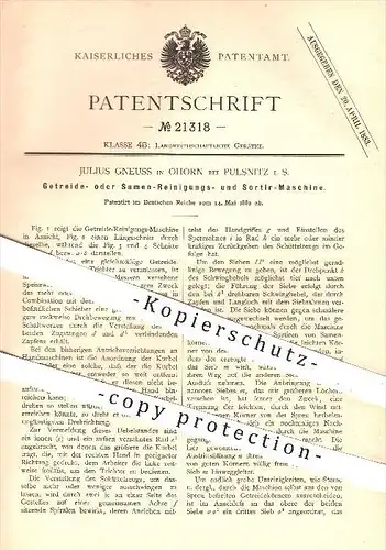 original Patent - Julius Gneuss , Ohorn , Pulsnitz , 1882 , Maschine zum Reinigen u. Sortieren von Getreide u. Samen !!!