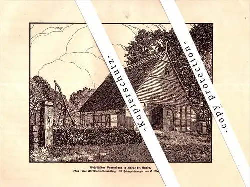 Federzeichnung - 1914 - Bauernhaus in Knolle b. Bünde , ca. A4 , Druck !!!