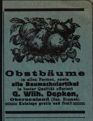 original Werbung / Reklame - 1914 - Obstbäume , Baumschule G.W. Depken in Oberneuland , Bremen !!!