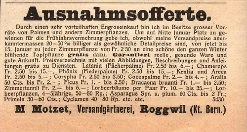 original Werbung - 1911 -  Ausnahmsofferte , Gärtnerei M. Motzet in Roggwil , Bern !!!