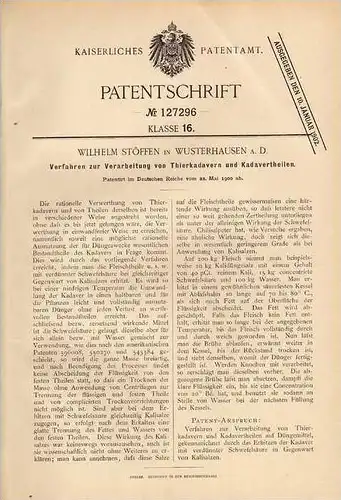 Original Patentschrift - W. Stöffen in Wusterhausen a.D., 1900 , Verarbeitung von Tierkadaver !!!